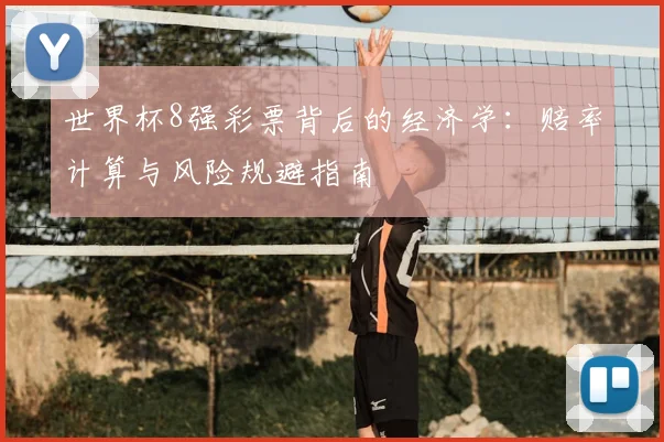世界杯8强彩票背后的经济学:赔率计算与风险规避指南