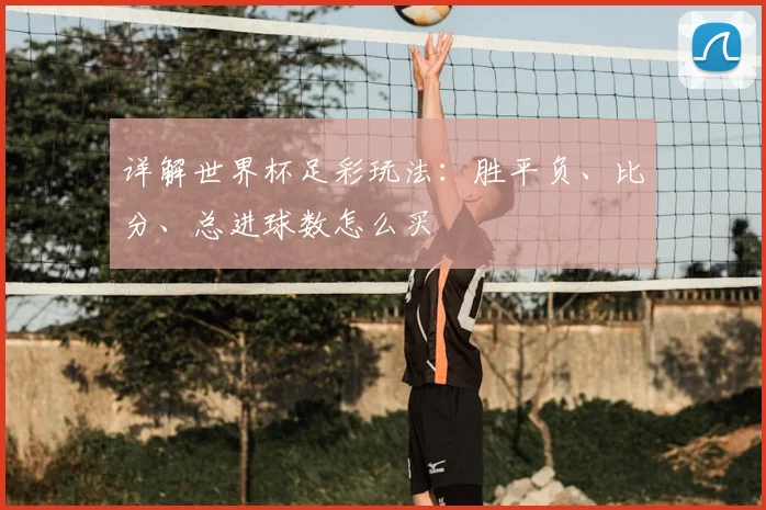 详解世界杯足彩玩法：胜平负、比分、总进球数怎么买