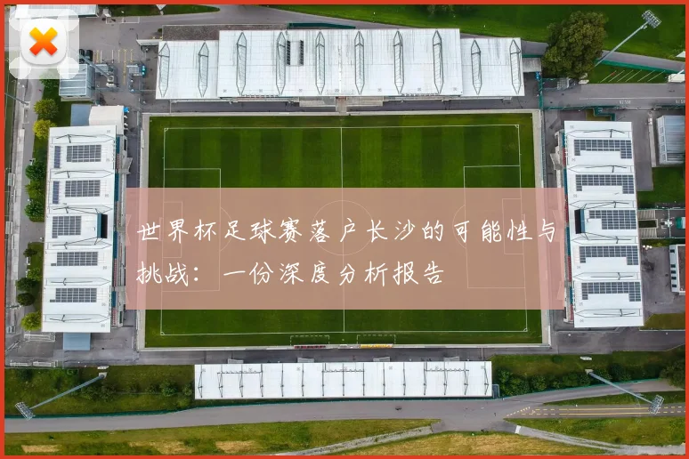 世界杯足球赛落户长沙的可能性与挑战：一份深度分析报告