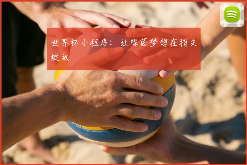 世界杯小程序:让绿茵梦想在指尖绽放