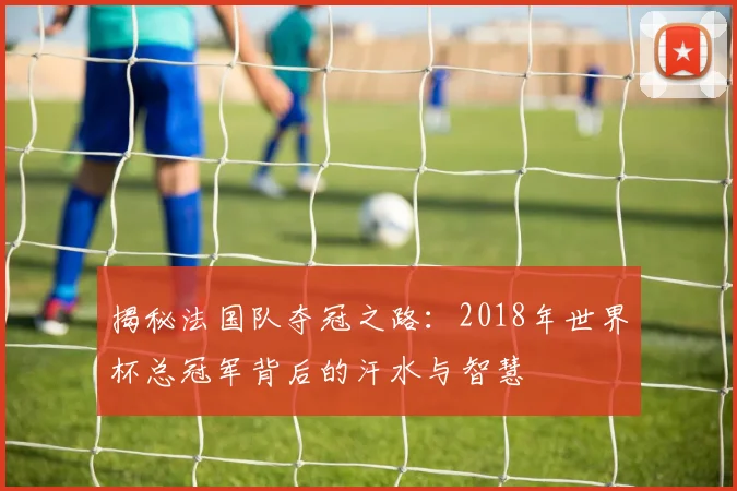 揭秘法国队夺冠之路：2018年世界杯总冠军背后的汗水与智慧