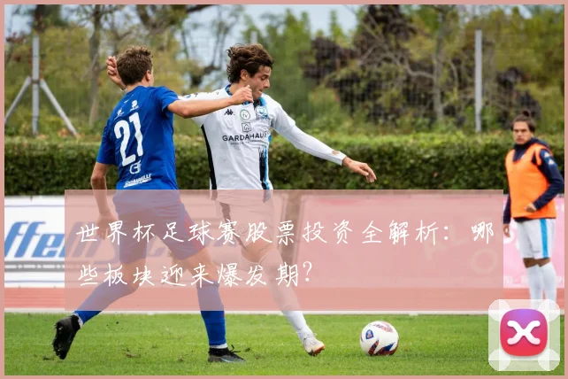 世界杯足球赛股票投资全解析：哪些板块迎来爆发期？